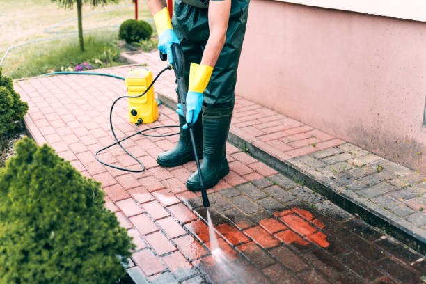 Best Pressure Washing Company Near Me  in Jacinto City, TX