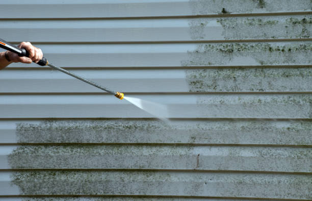 Best Deck Cleaning Services  in Jacinto City, TX
