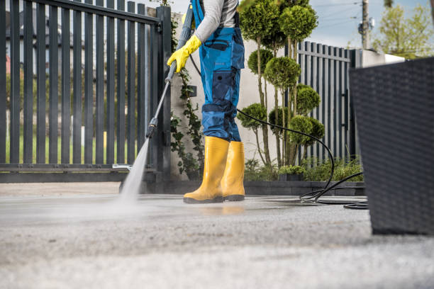 Professional Pressure Washing in Jacinto City, TX
