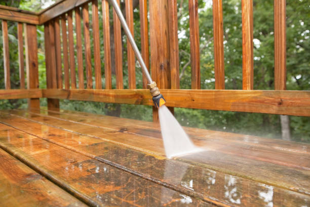 Best Fence Pressure Washing  in Jacinto City, TX