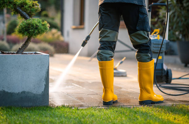 Best Commercial Building Pressure Washing  in Jacinto City, TX
